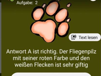 Werde ein Junior Scout/in / Schmelzteich Bad Sachsa – Bild 2